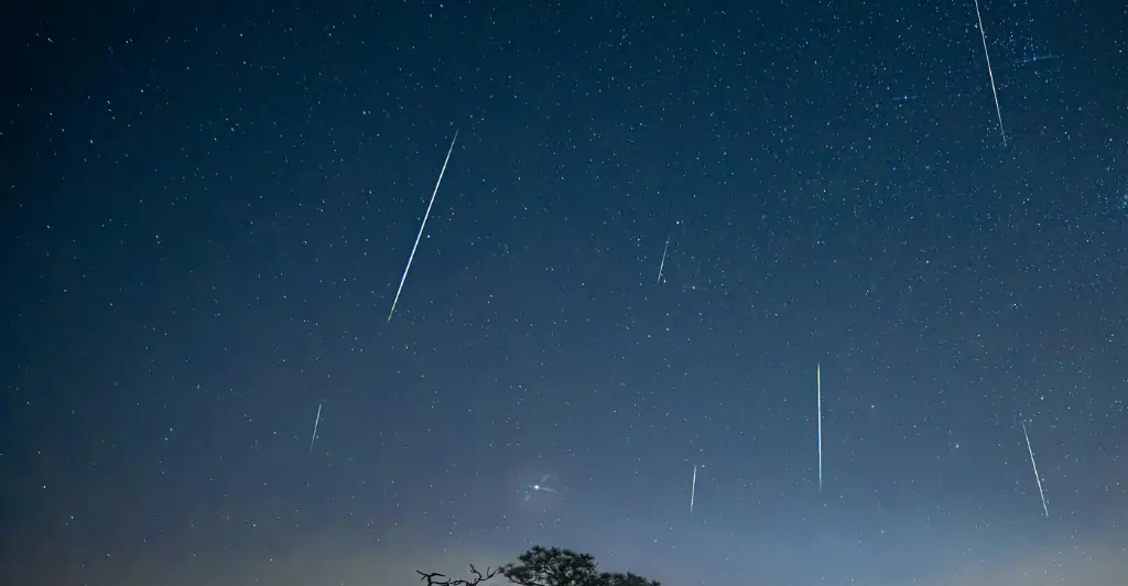 Most active meteor shower of the year set to peak this weekend