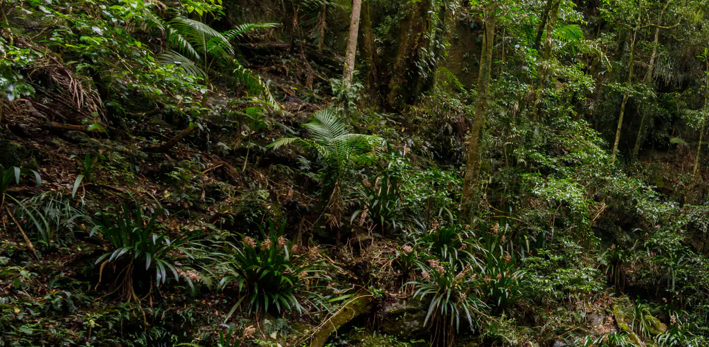 Boy and girl, both 17, tragically die in double drowning after she 'fell off' a waterfall and he jumped in to save her