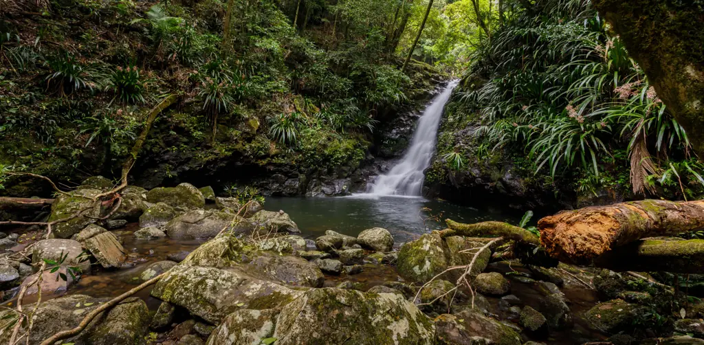 Boy and girl, both 17, tragically die in double drowning after she 'fell off' a waterfall and he jumped in to save her