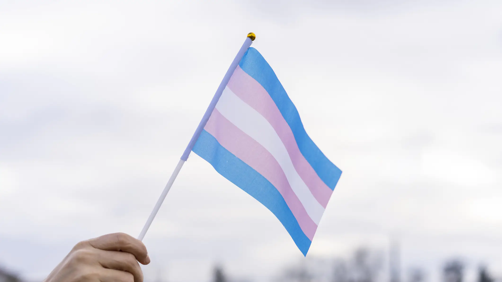 Transgender flag