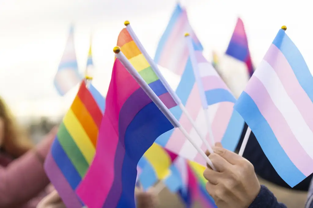 Male Lesbians is becoming a popular term on social media. Credit: Vladimir Vladimirov / Getty