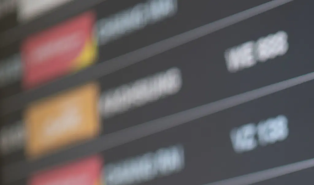 Fatal incident as person dies after being 'sucked into plane's engine'