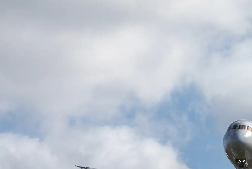 Woman reveals her revolting mid-air emergency forced flight to be canceled