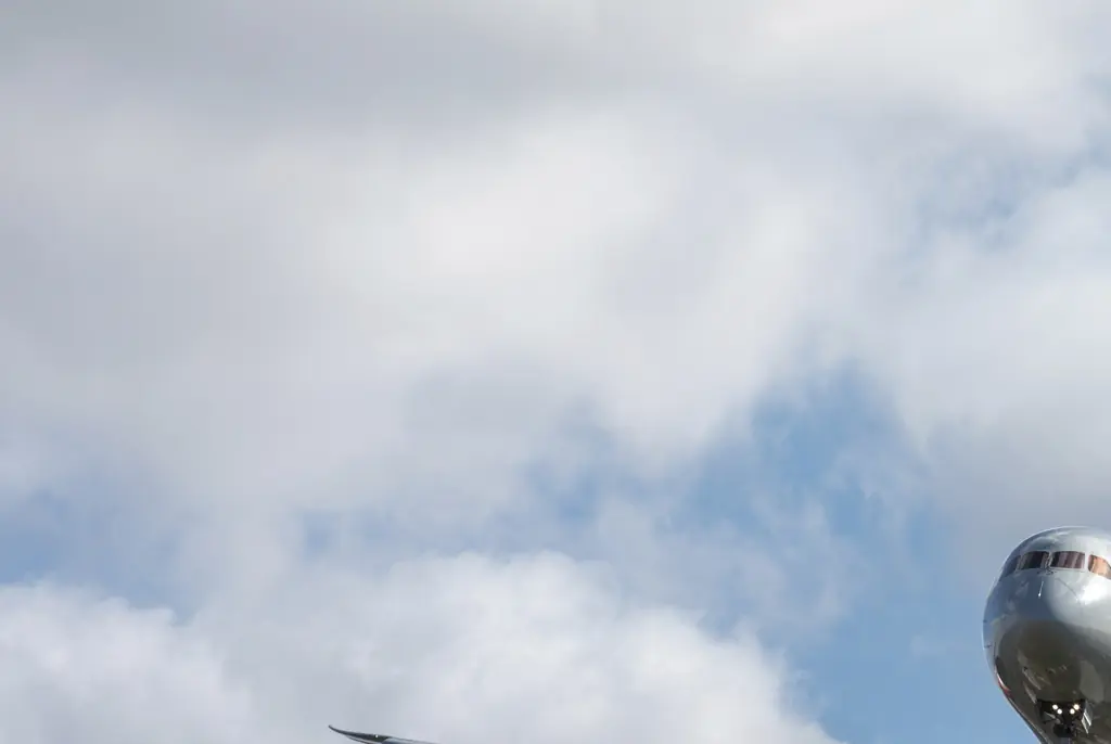 Woman reveals her revolting mid-air emergency forced flight to be canceled