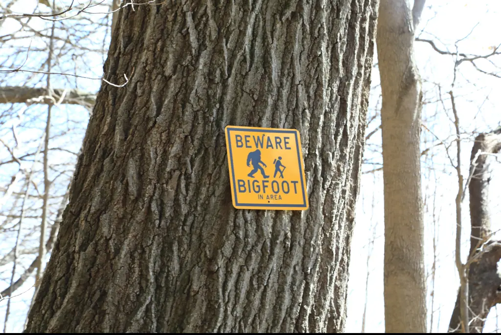 Social media is going wild over a recent citing of "Bigfoot." Credit: Douglas Sacha/Getty