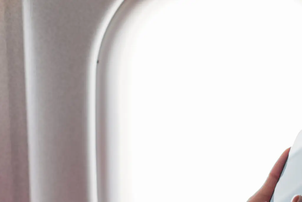 American Airlines flight is forced to turn around after nosy passenger spotted alarming 3-letter message on stranger's phone