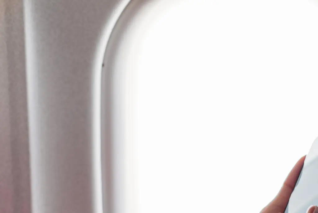 American Airlines flight is forced to turn around after nosy passenger spotted alarming 3-letter message on stranger's phone