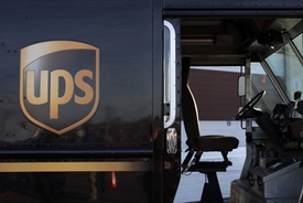 Tiny rescue pup killed after UPS driver throws 55lb package over yard fence