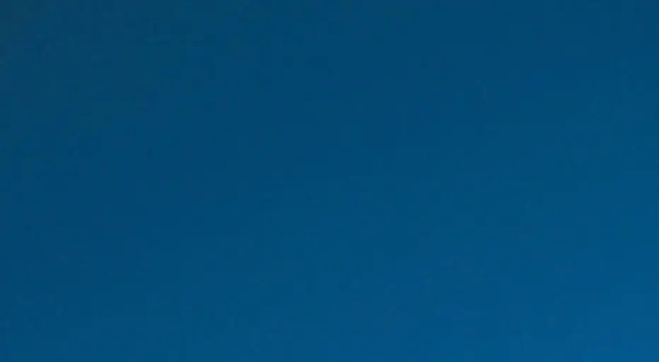 New Jersey dad arrested after 'ripping off seagull's head' after it tried to steal his daughter's fries