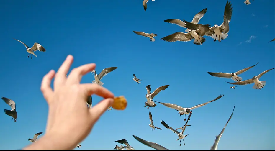 New Jersey dad arrested after 'ripping off seagull's head' after it tried to steal his daughter's fries