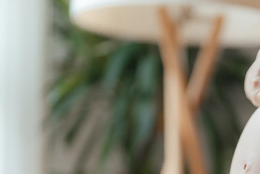 Former TV star who makes OnlyFans content with her stepbrother reveals they've welcomed their baby