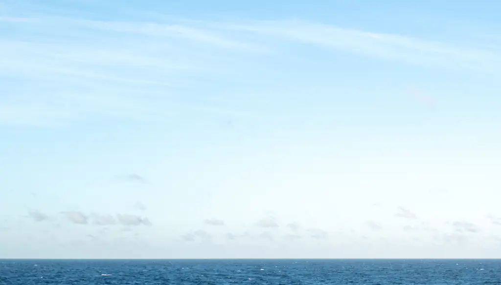 Space capsule carrying the ashes of over 160 people is lost after crashing into Pacific Ocean