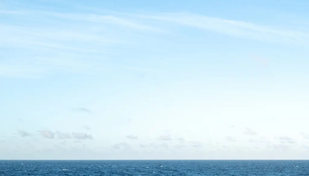 Space capsule carrying the ashes of over 160 people is lost after crashing into Pacific Ocean