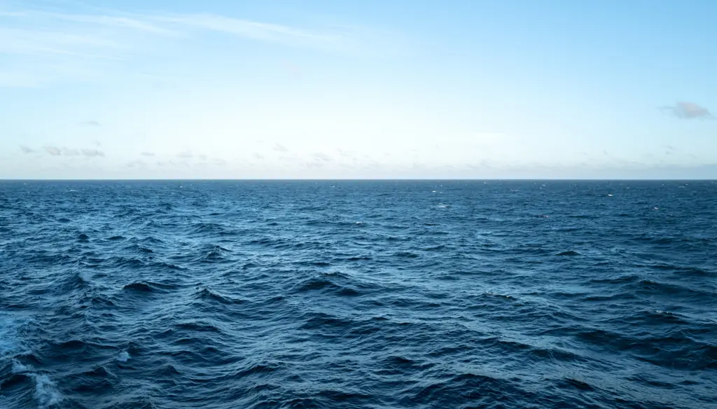 Space capsule carrying the ashes of over 160 people is lost after crashing into Pacific Ocean