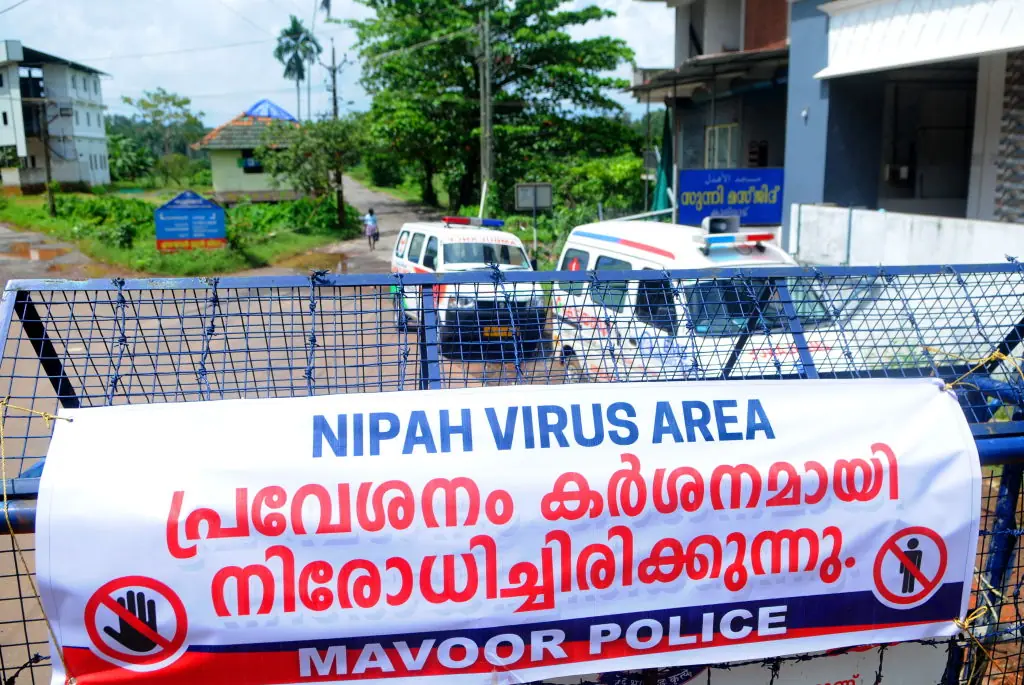 Health officials are on high alert after it was confirmed that five people in West Bengal, India, had contracted the Nipah virus. Credit: DeFodi Images News / Getty