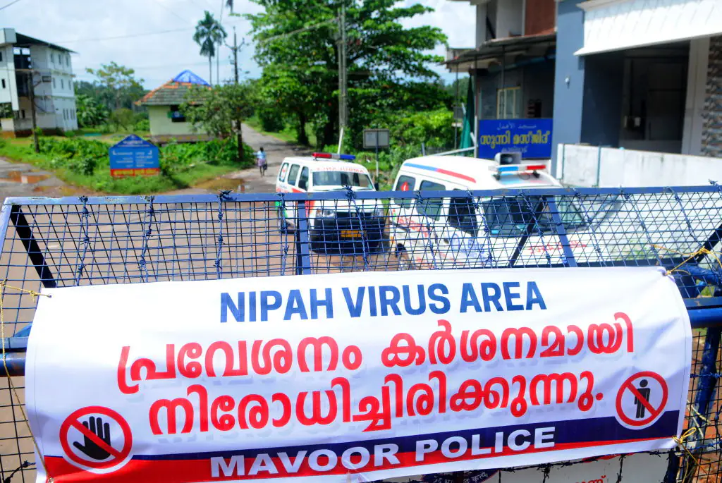 Health officials are on high alert after it was confirmed that five people in West Bengal, India, had contracted the Nipah virus. Credit: DeFodi Images News / Getty