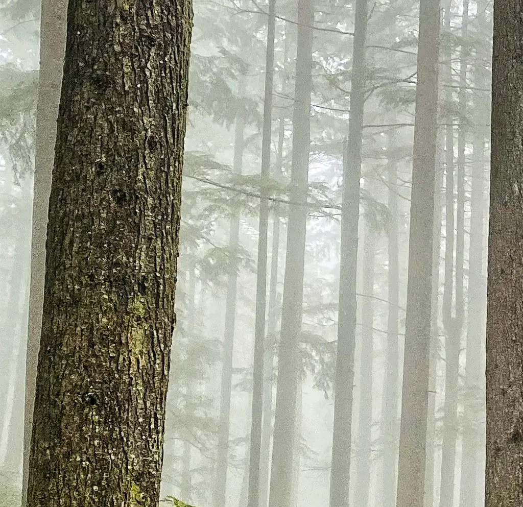 Hiker who went missing for 10 days shares horrifying new details of his disappearance