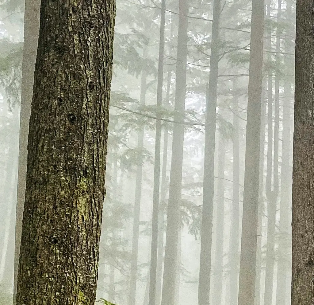 Hiker who went missing for 10 days shares horrifying new details of his disappearance