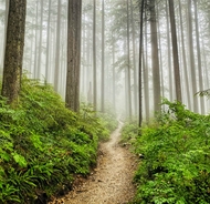 Hiker who went missing for 10 days shares horrifying new details of his disappearance
