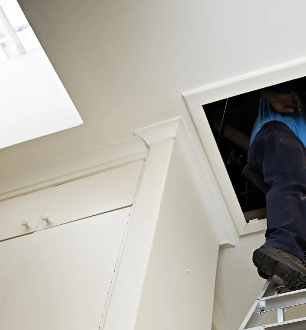 The woman was hearing strange noises coming from the attic. Credit: RapidEye/Getty Images