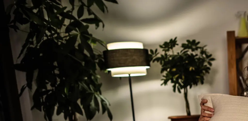 Horror movie deemed 'more disturbing than A Serbian Film' is so extreme you can't legally watch it in several countries