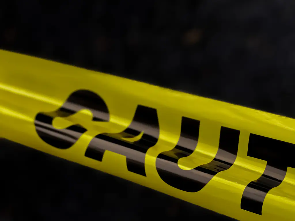 Daughter accused of brutally murdering mom after dad finds disturbing note in diary