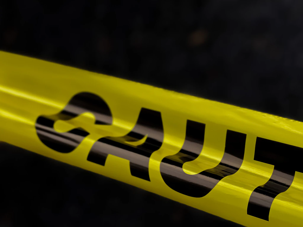 Daughter accused of brutally murdering mom after dad finds disturbing note in diary