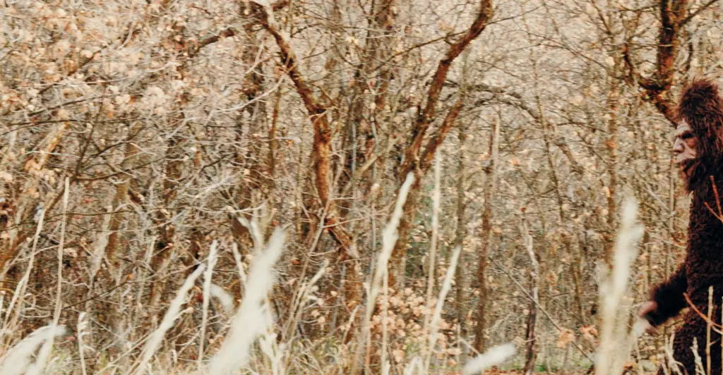 People are convinced Bigfoot has been spotted in chilling video: 'Y'all this one is real'