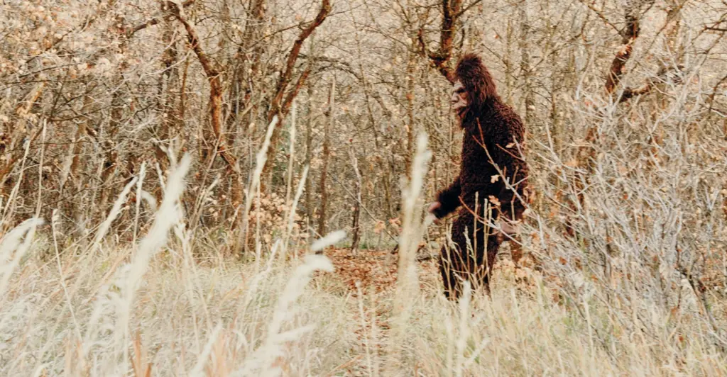 People are convinced Bigfoot has been spotted in chilling video: 'Y'all this one is real'