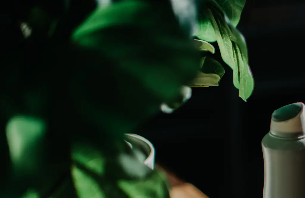 What is 'Chroming'? The dangerous trend explained as 12-year-old boy reportedly becomes latest victim