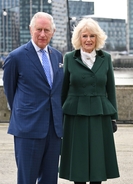 Man who claims to be secret son of King Charles and Queen Camilla calls for 'four-way paternity test'