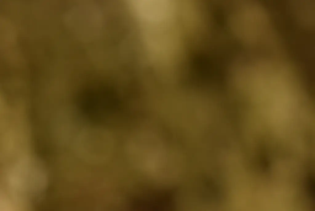 Man reportedly amputated penis with an axe after eating psychedelic mushrooms