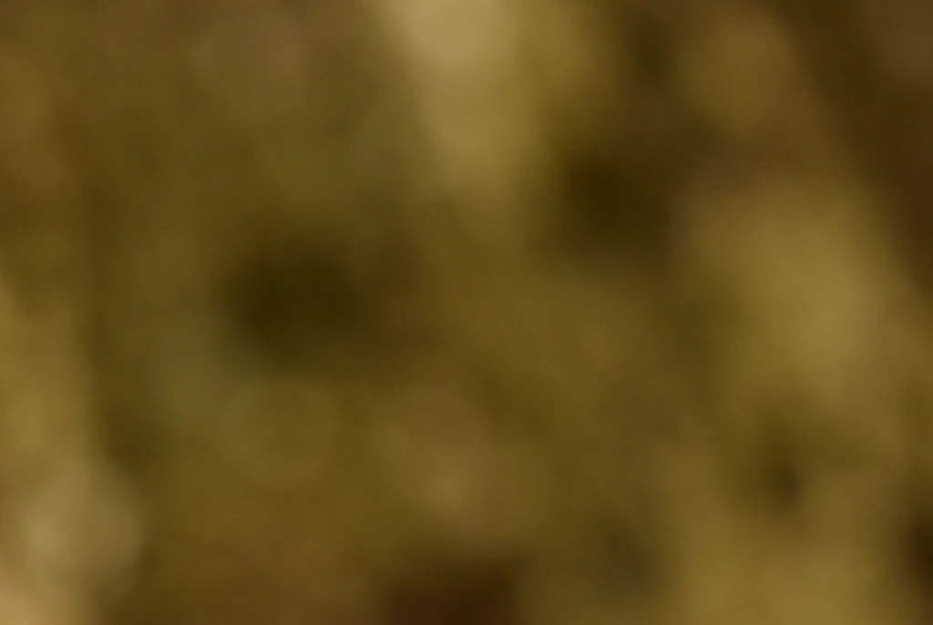 Man reportedly amputated penis with an axe after eating psychedelic mushrooms