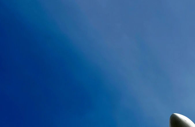 How woman miraculously survived a 33,000ft fall after plane exploded mid-air