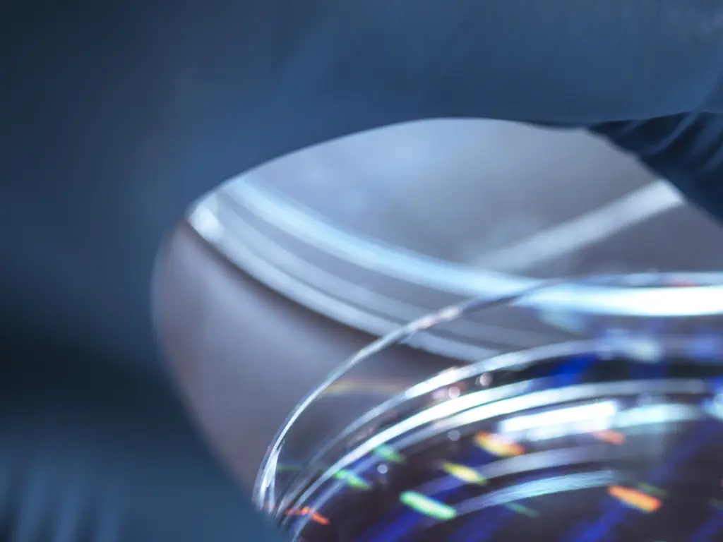 Couple married for 10 years with 3 kids took DNA test that left wife 'sick to her stomach'