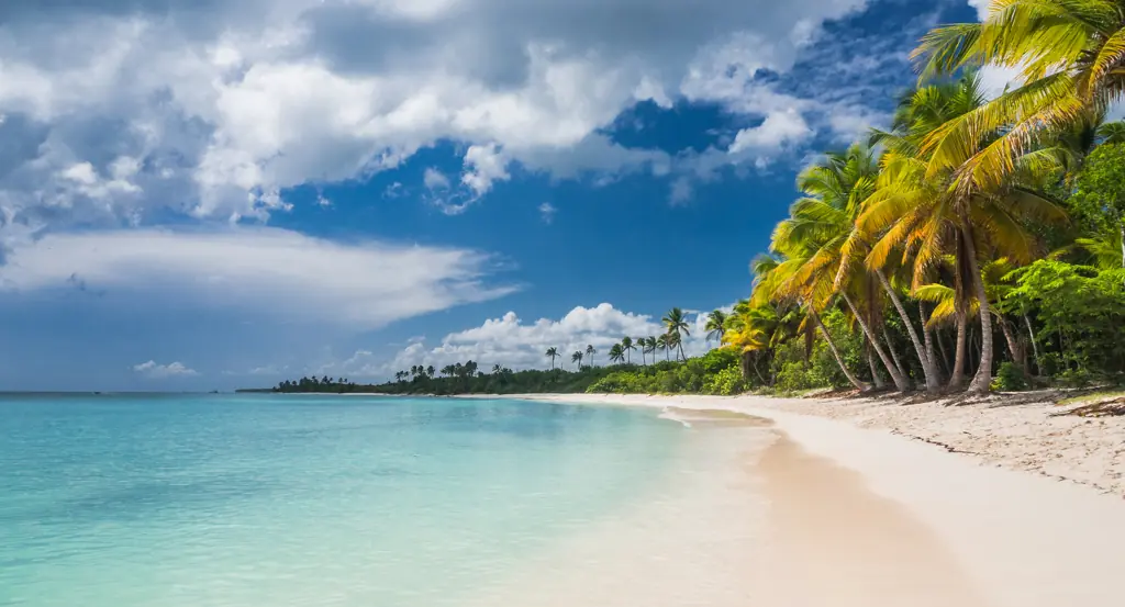 A 20-year-old college student is missing after going for an early morning beach walk while vacationing in the Dominican Republic.Credit:  © Frédéric Collin / Getty