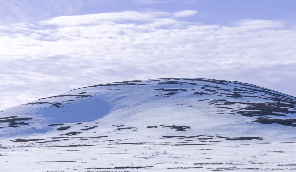 The plane vanished near Nome, Alaska, on Thursday afternoon. Credit: 	Lea Scaddan/Getty Images