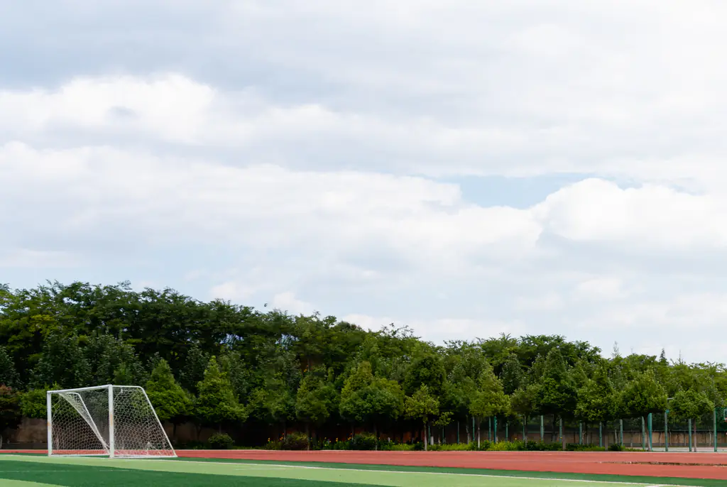 Runner who 'attacked' opponent with baton has now been charged after claiming it was an accident