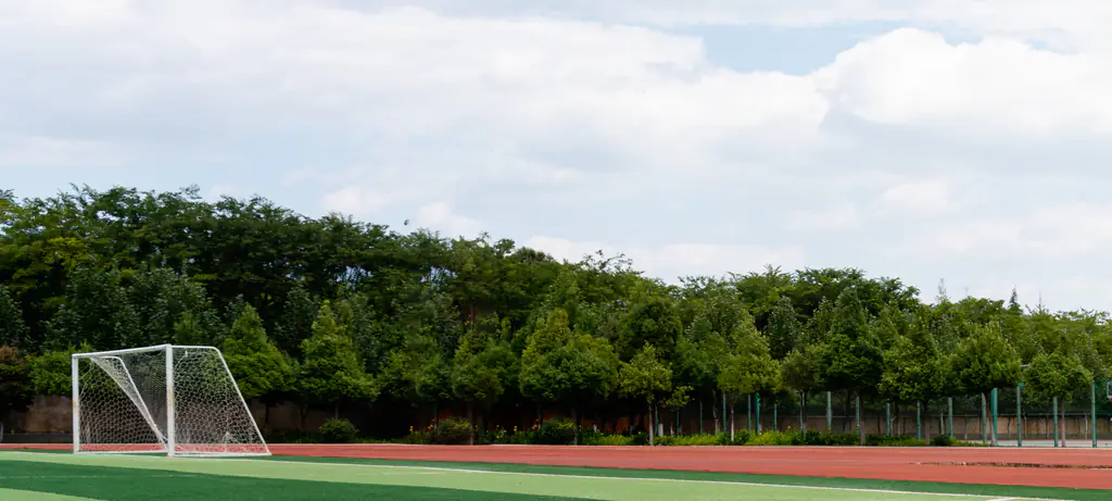 Runner who 'attacked' opponent with baton during major race breaks silence over why she did it