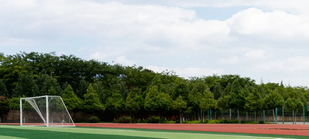 Runner who 'attacked' opponent with baton during major race breaks silence over why she did it