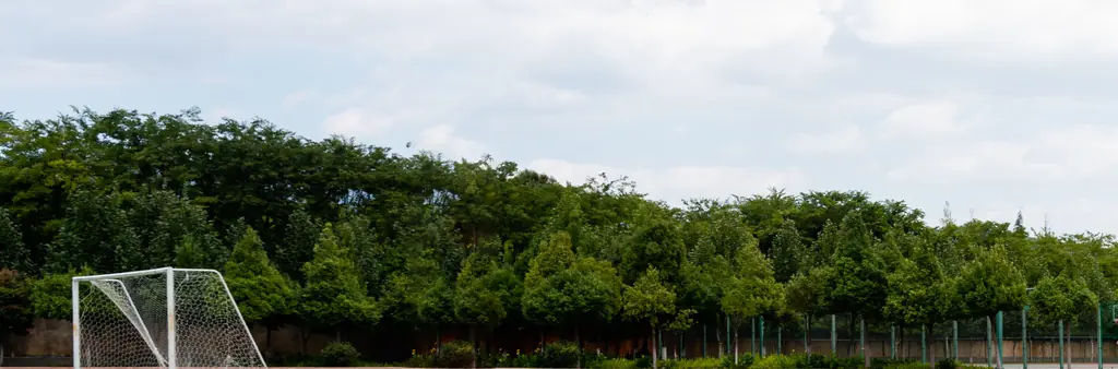 Runner who 'attacked' opponent with baton shares new footage of incident as she faces assault charge