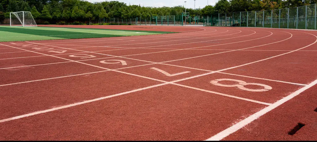 Runner who 'attacked' opponent with baton during major race breaks silence over why she did it