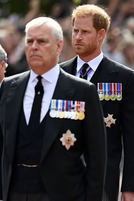 Prince Andrew and Prince Harry have been given brutal nicknames. Credit: Kate Green / Getty