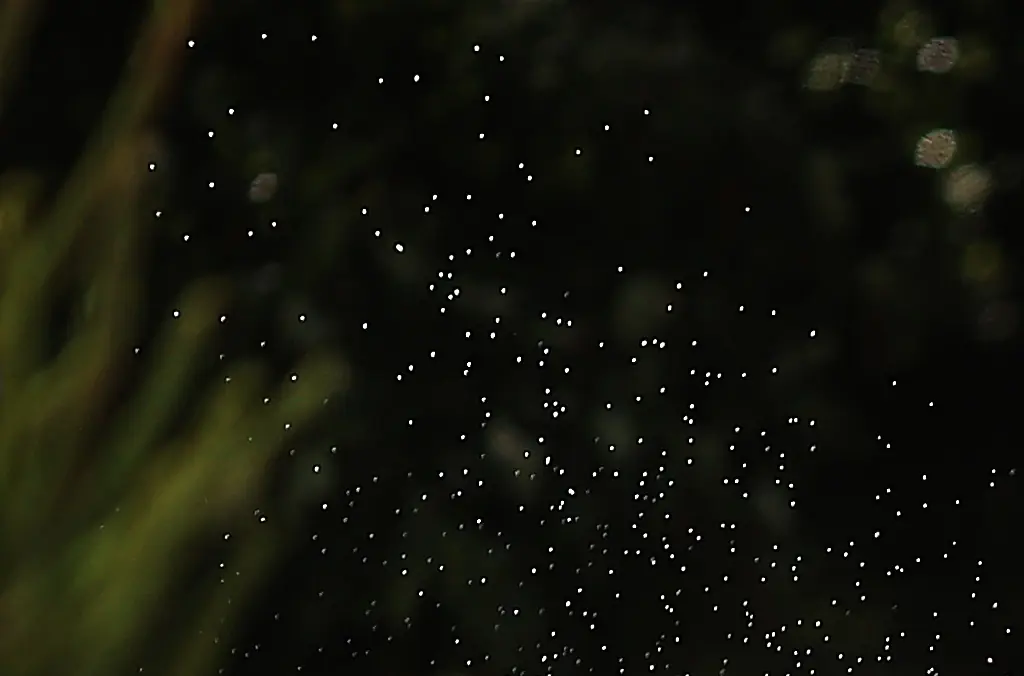 Husband of Olympian Georgie Campbell posts emotional tribute after her death