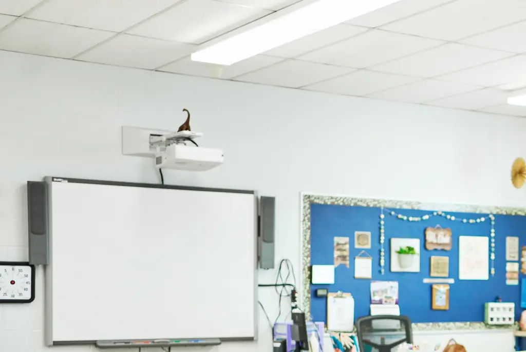 The shocking incident took place during a school drill. Credit: AJ_Watt / Getty
