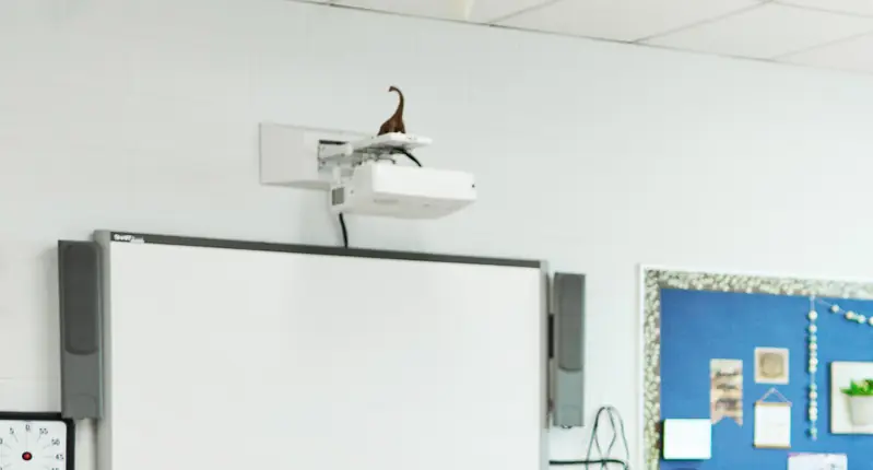 350lb Teacher arrested after 'using child as a stepping stool' and leaving him needing hospital visit