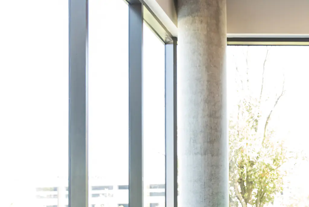 Scientist who 'died for six minutes' shares what she saw in the ‘waiting room’