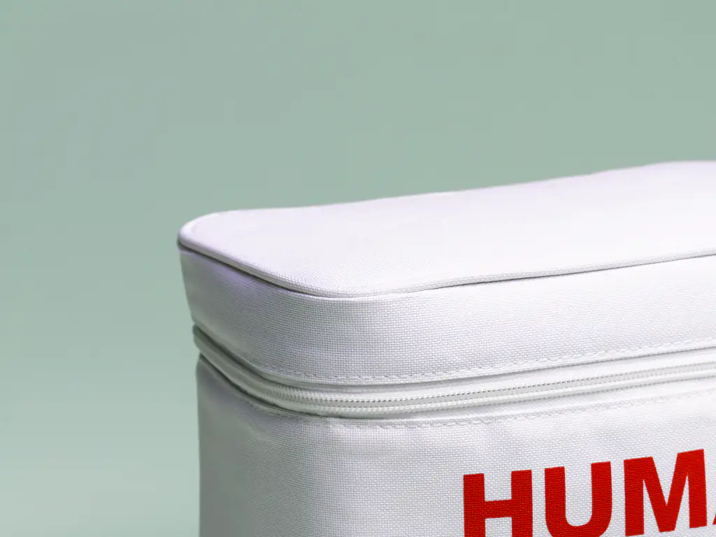 Woman who donated her kidney to help her boss claims she was fired for taking too long to recover from the surgery