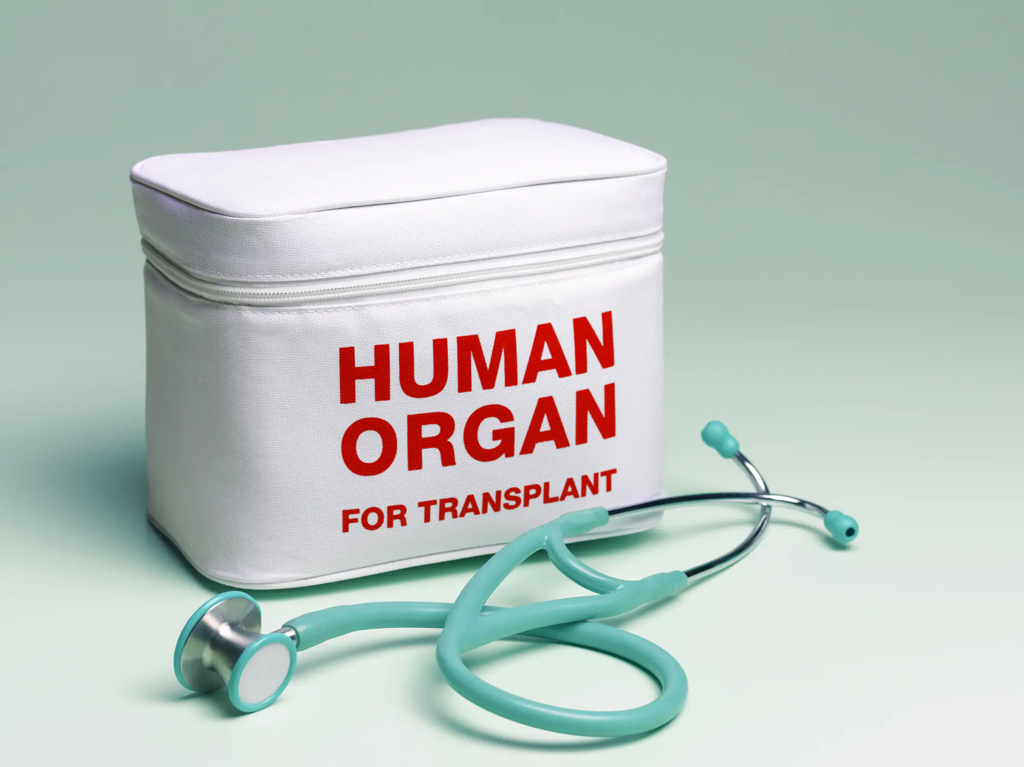 Woman who donated her kidney to help her boss claims she was fired for taking too long to recover from the surgery