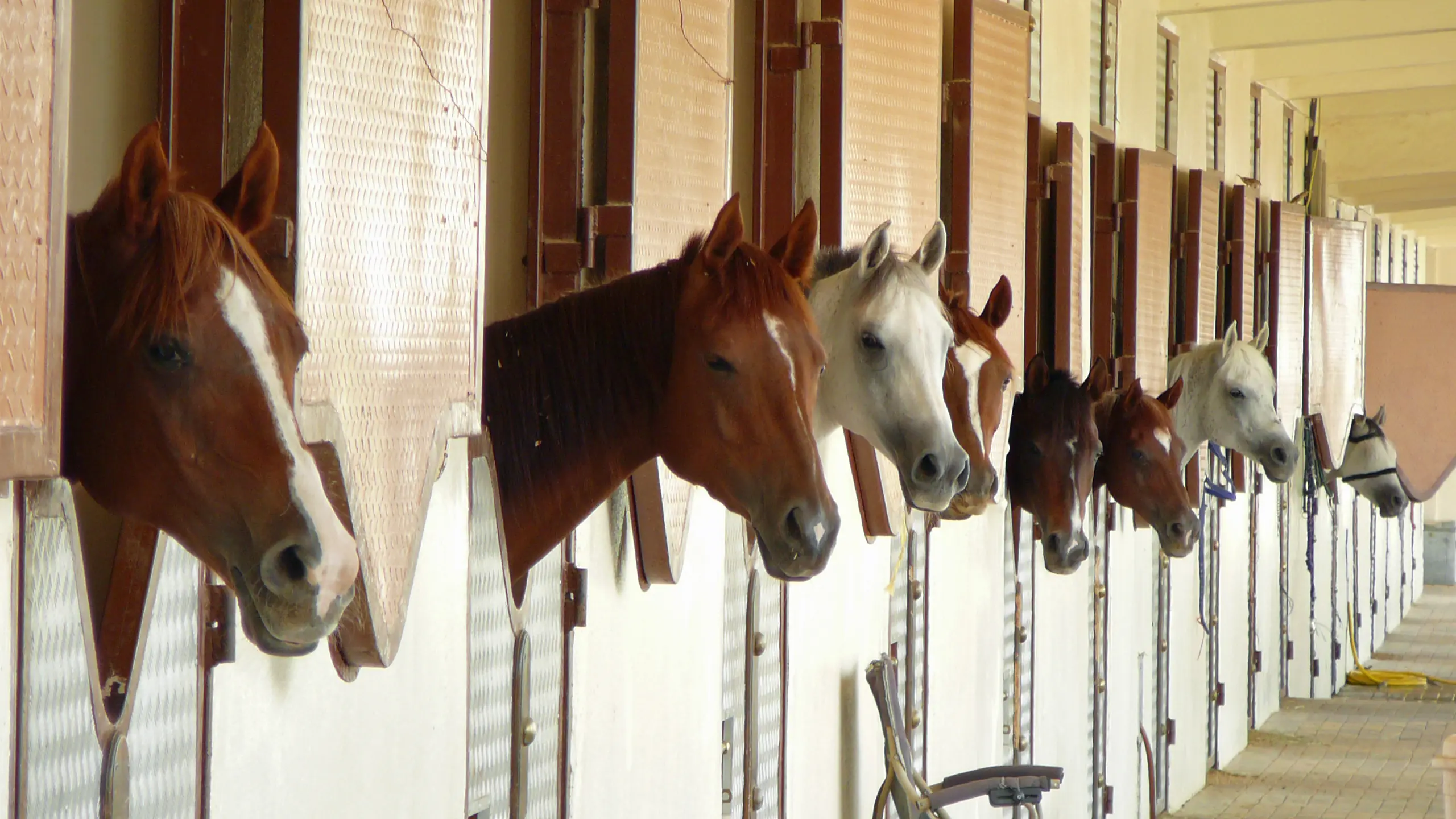 credit: Gregory T. Smith / Getty